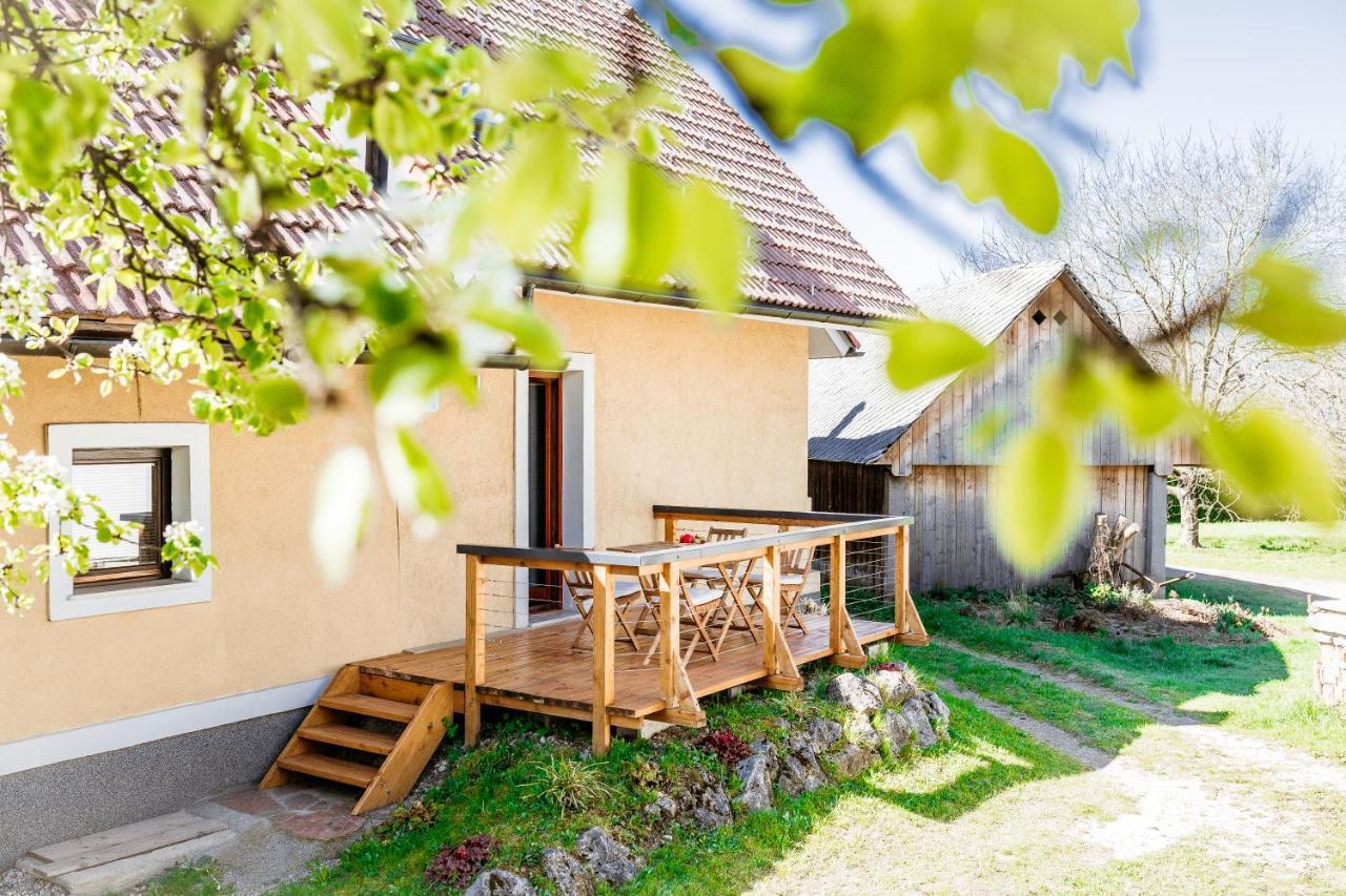 Mama Mia Apartments Radovljica Exteriér fotografie